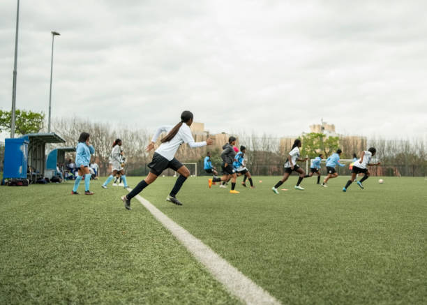 近日报道 近日报道
